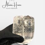 WhatsApp Image 2026-03-12 at 6.41.58 PM (1)